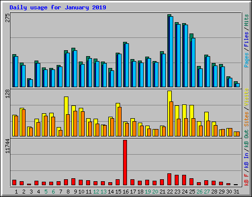 Daily usage for January 2019