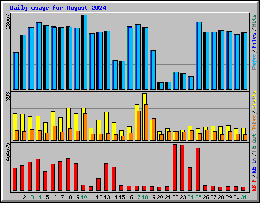 Daily usage for August 2024