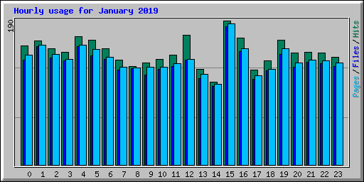 Hourly usage for January 2019