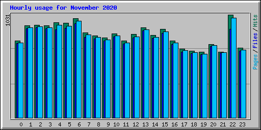 Hourly usage for November 2020