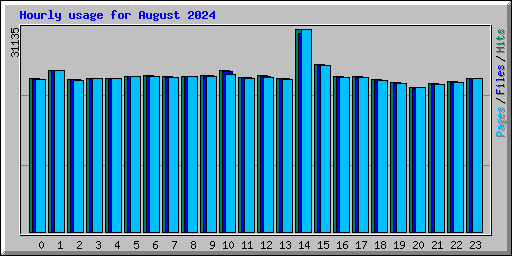 Hourly usage for August 2024