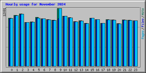 Hourly usage for November 2024