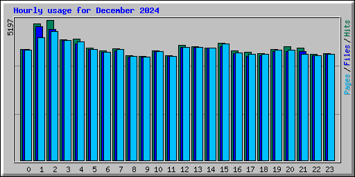 Hourly usage for December 2024